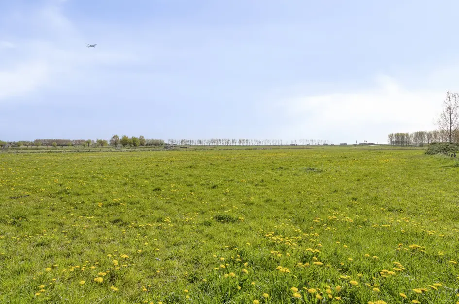 Burgemeester van Roosmalenstraat 31