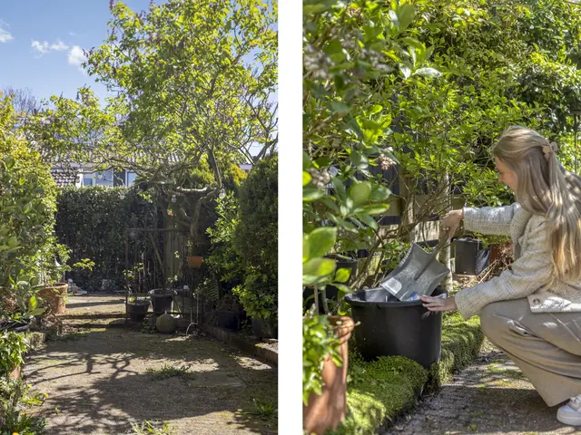 Kemphaanstraat 17, UITGEEST