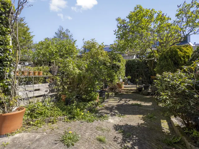 Kemphaanstraat 17, UITGEEST