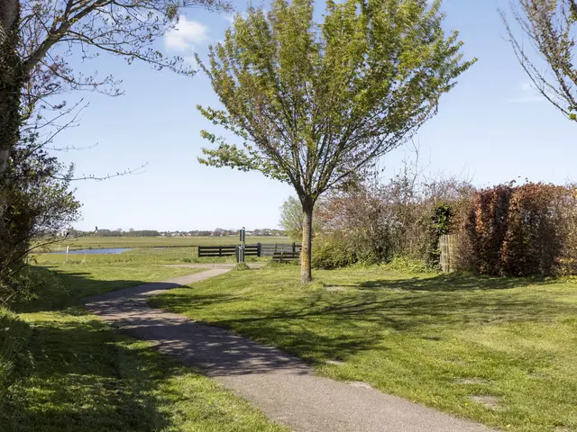 Kemphaanstraat 17, UITGEEST