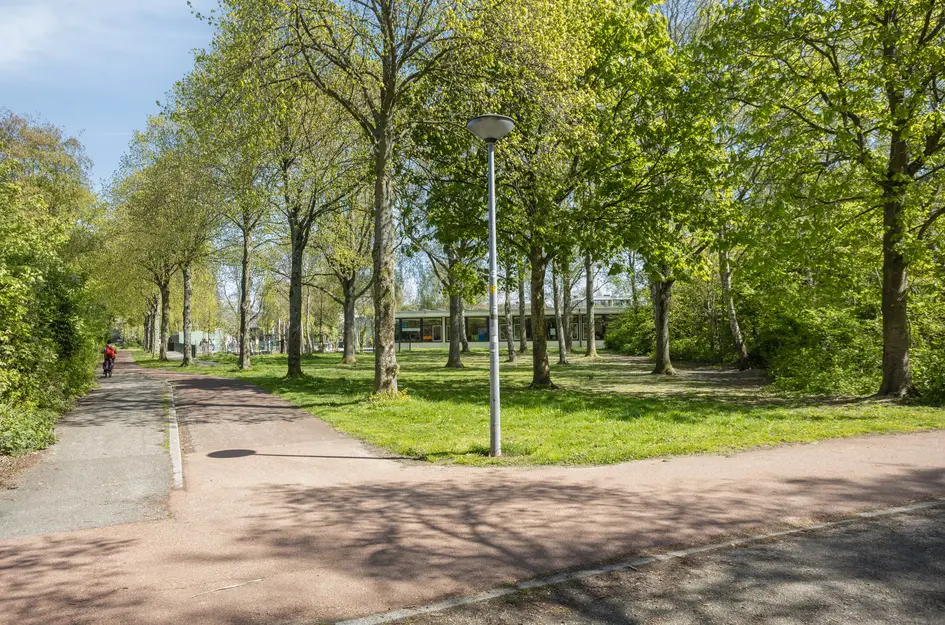 Boekenstein 80