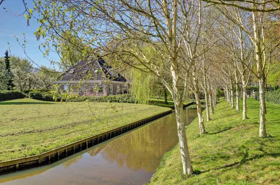 De Hout 96