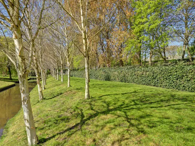 De Hout 96, HEM