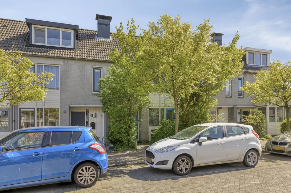 De Dadelboom 69
