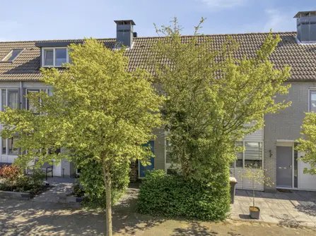 De Dadelboom 69