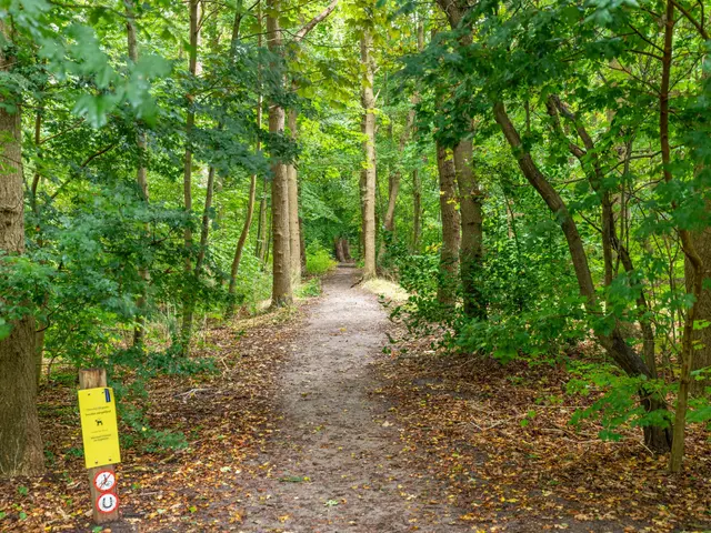 De Wildtlaan 8, HEILOO
