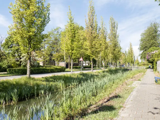Arnoldsonstraat 8, CASTRICUM