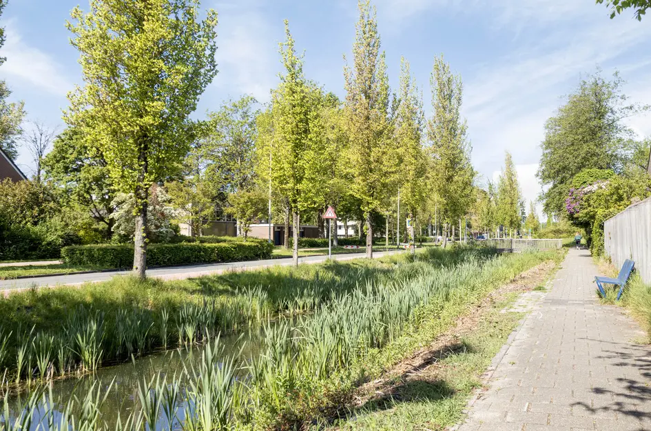 Arnoldsonstraat 8