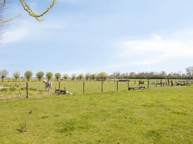 Achterlaan 11, CASTRICUM