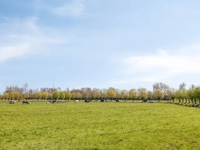 Achterlaan 11, CASTRICUM