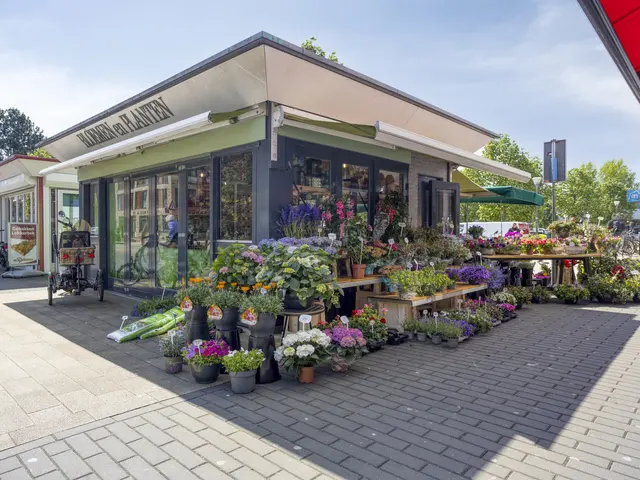 Gijsbrechtstraat 11, ALKMAAR