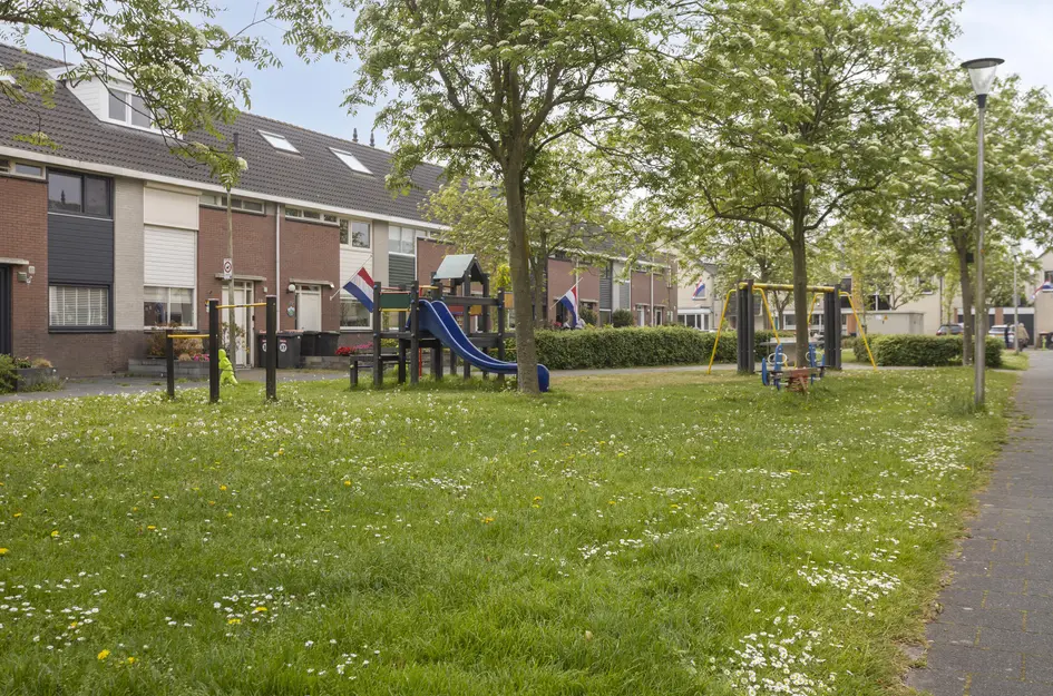 De Waterdief 20
