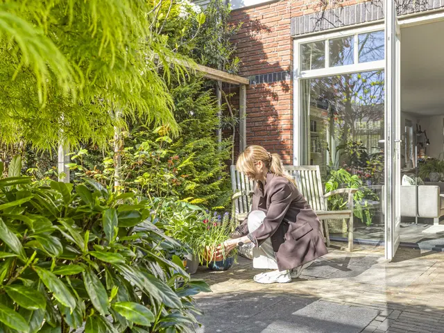 Koningsduin 19, CASTRICUM