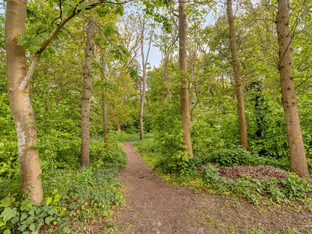 Koningsduin 19, CASTRICUM