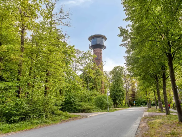 Koningsduin 19, CASTRICUM