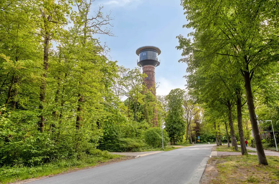 Koningsduin 19