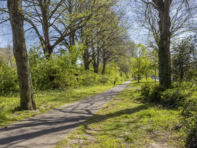 Brederodestraat 30, CASTRICUM