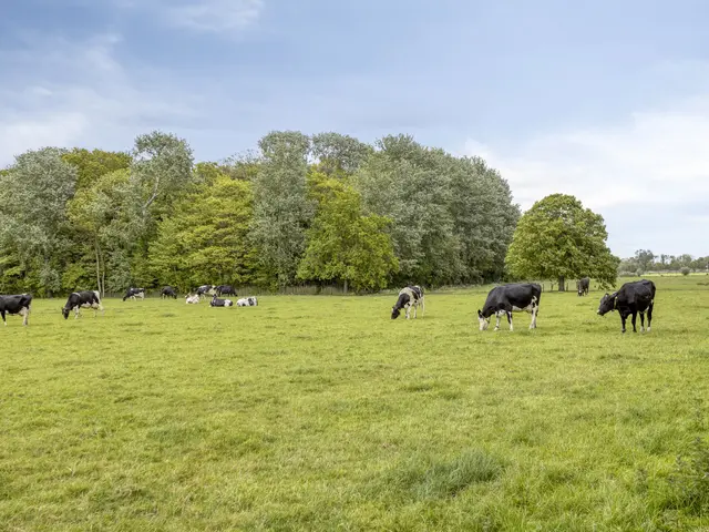 Kanaalweg 20a, HEILOO
