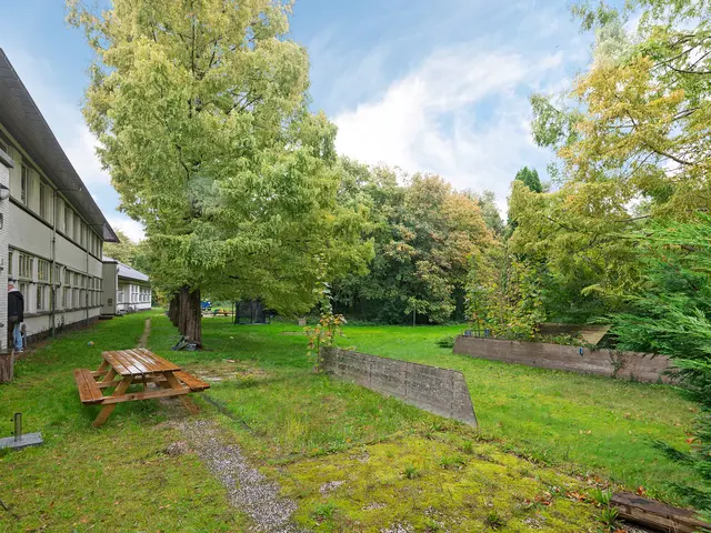 Heereweg 114, Castricum