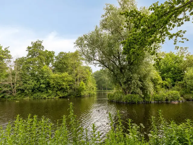 Henri Dunantsingel 216, CASTRICUM