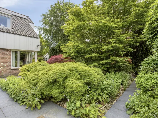 Houtsnip 2, CASTRICUM