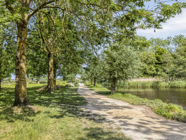 Houtsnip 2, CASTRICUM