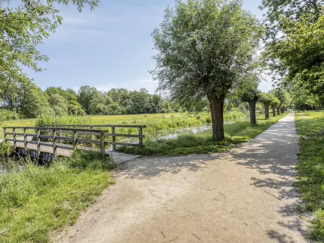 Houtsnip 2, CASTRICUM