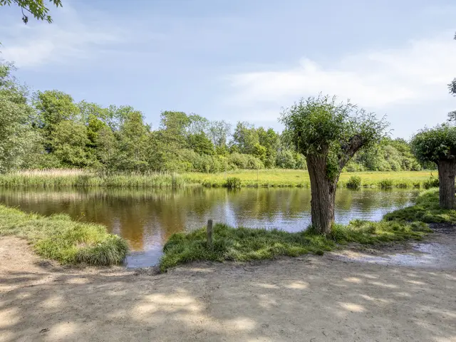Houtsnip 2, CASTRICUM