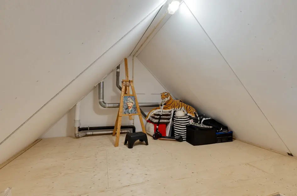 Kruiskamplaan 46