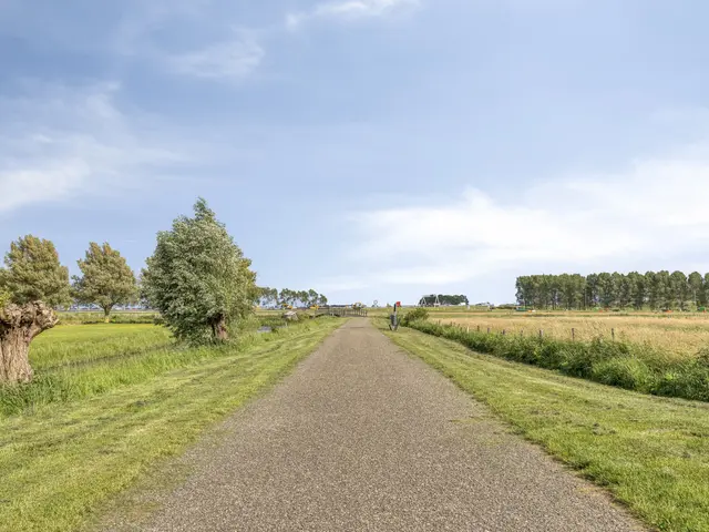 De Melksuiker 141, UITGEEST