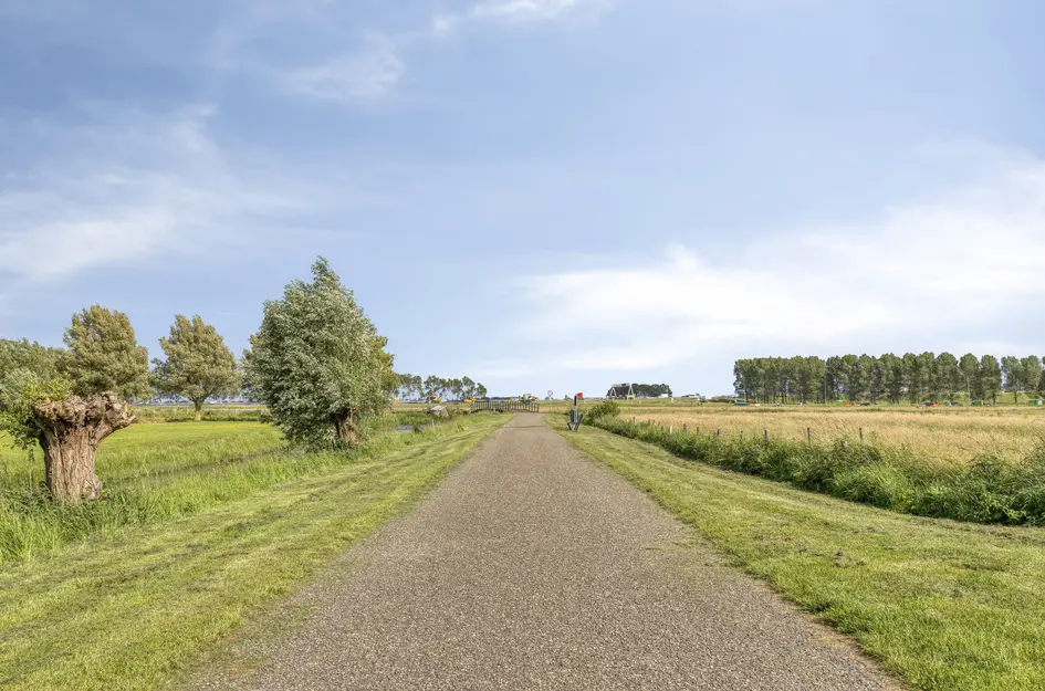 De Melksuiker 141