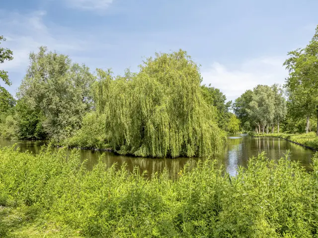 Henri Dunantsingel 228, CASTRICUM