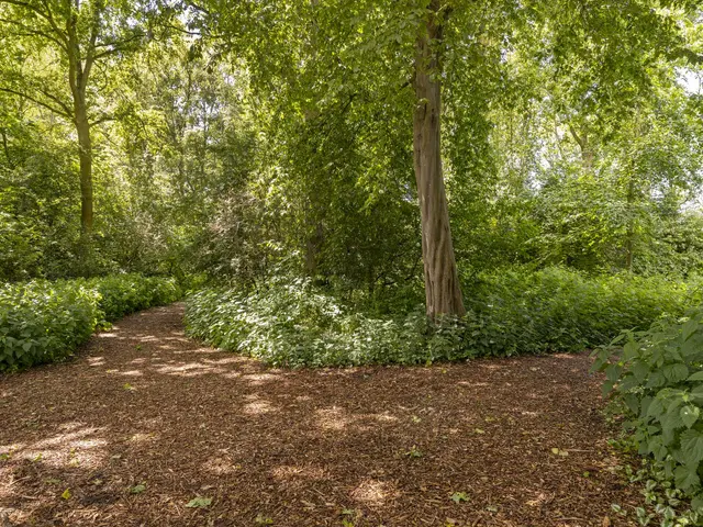 Het Bleekveld 1, HEILOO