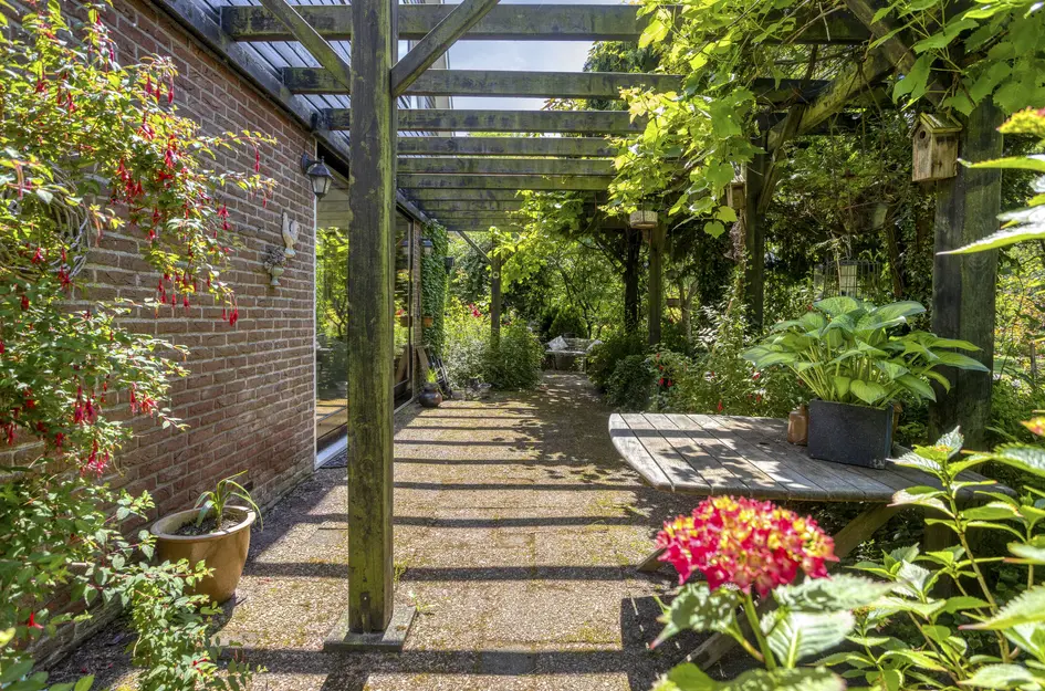 Klein Dorregeest 7b
