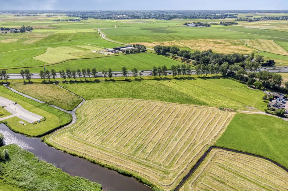 Klein Dorregeest 7b