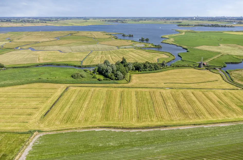Klein Dorregeest 7b