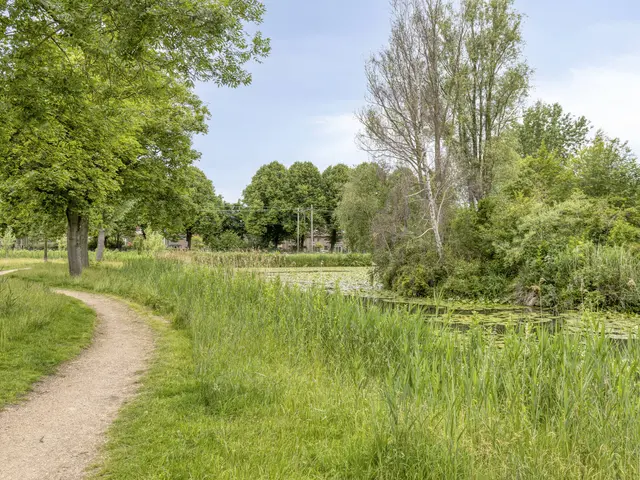 Ruiterweg 59, CASTRICUM