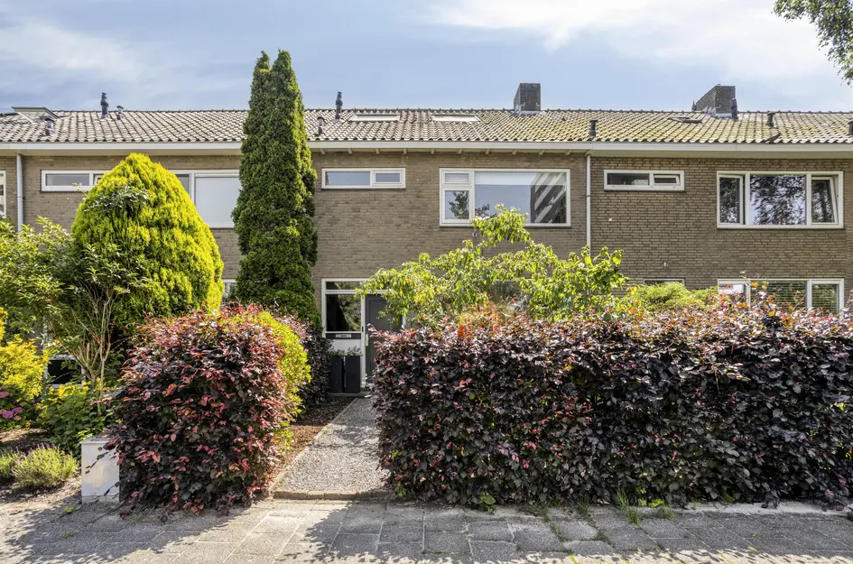 De Loet 7