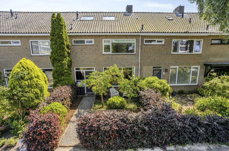 De Loet 7