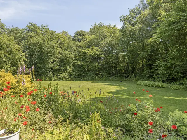 Heereweg 71, CASTRICUM