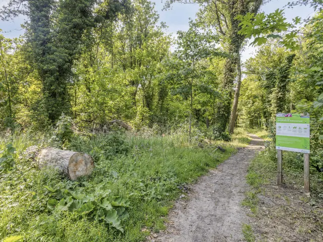 Heereweg 71, CASTRICUM