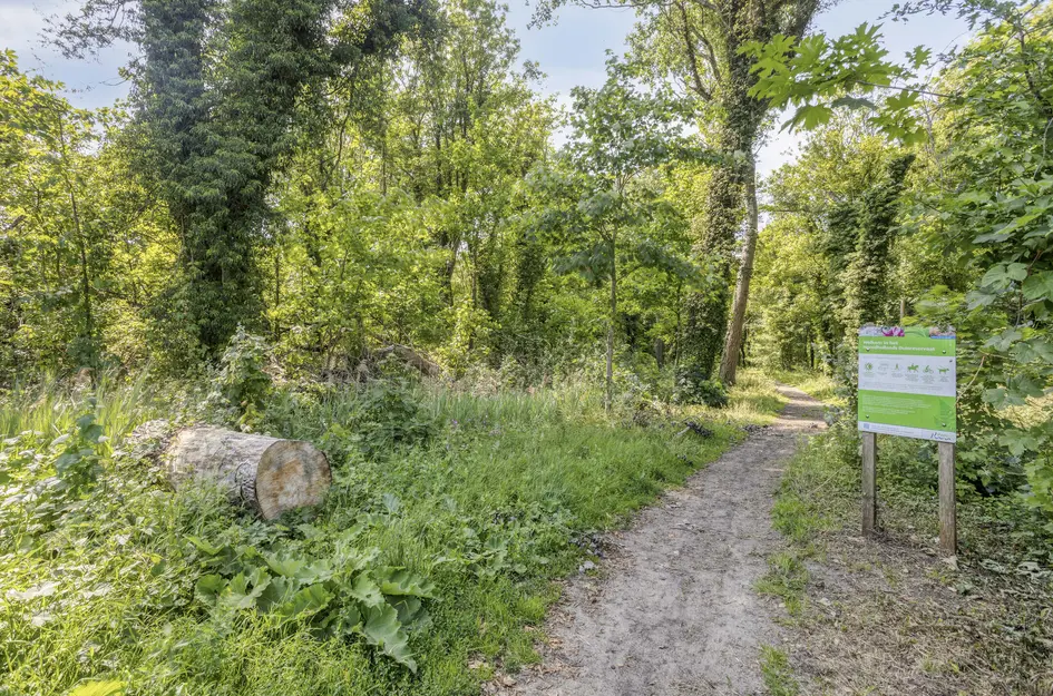 Heereweg 71