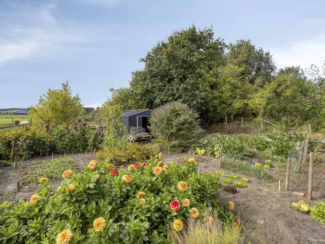 Oosterbuurt 1, CASTRICUM