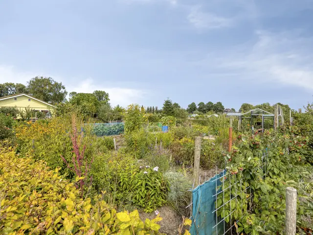 Oosterbuurt 1, CASTRICUM