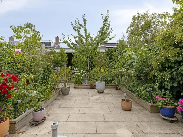 Zwanebloem 7, CASTRICUM