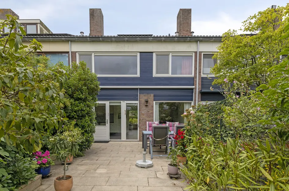 Zwanebloem 7