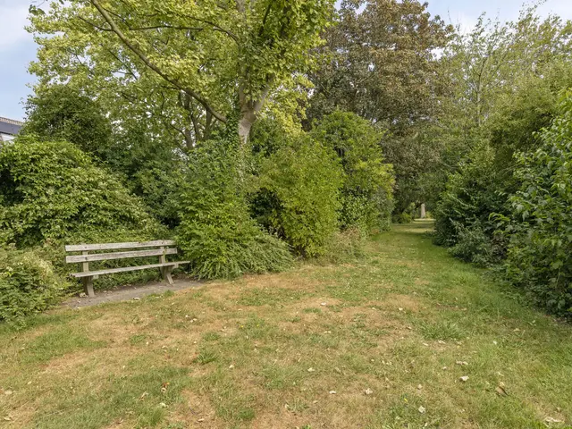 Zwanebloem 7, CASTRICUM