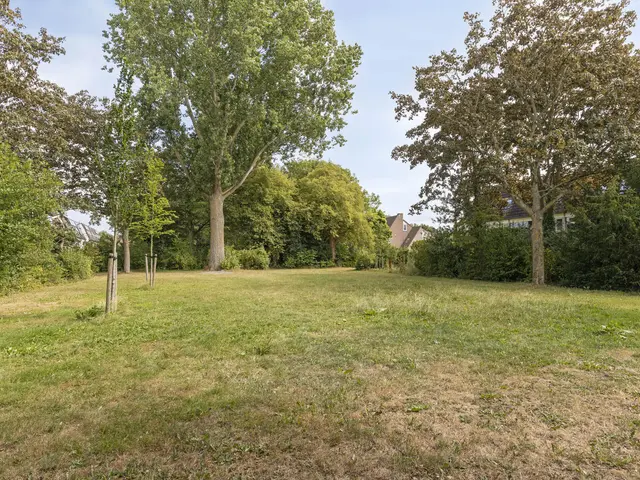 Zwanebloem 7, CASTRICUM