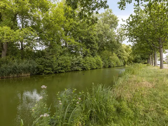 Zwanebloem 7, CASTRICUM