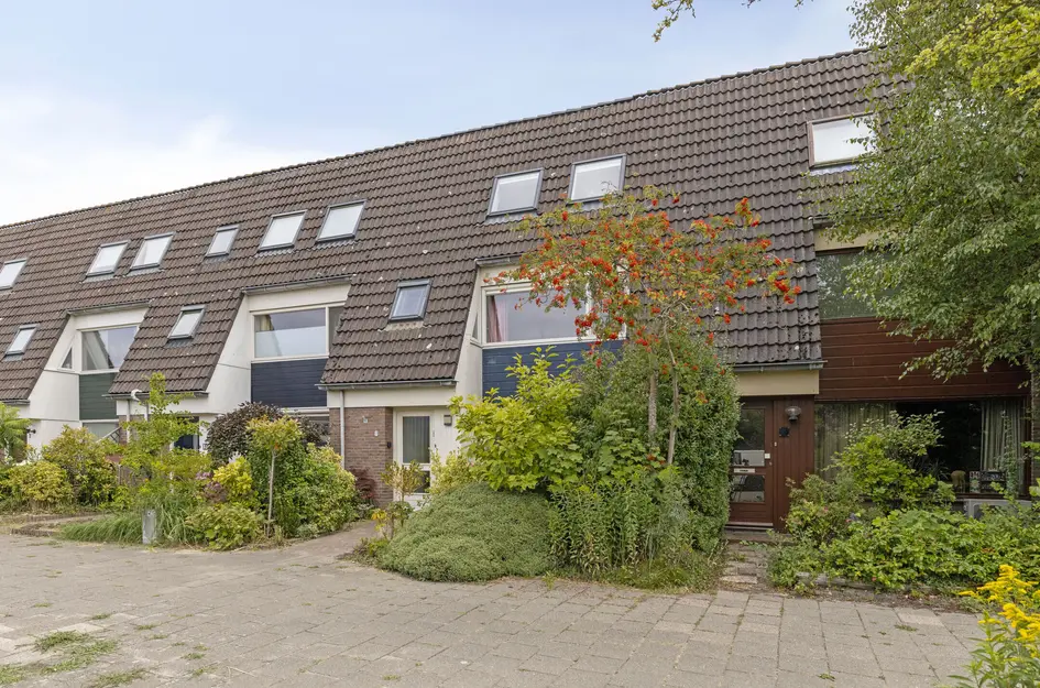 Zwanebloem 7